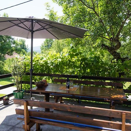 Apartmant & Room Bruna Drežnik Grad Buitenkant foto