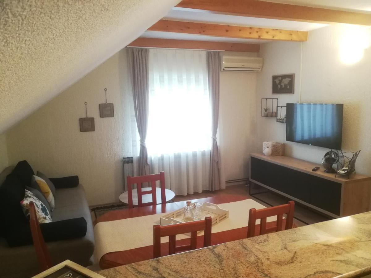 Apartmant & Room Bruna Drežnik Grad Buitenkant foto