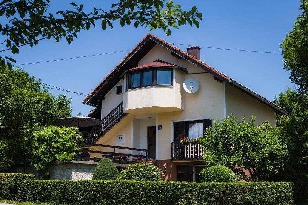 Apartmant & Room Bruna Drežnik Grad Buitenkant foto