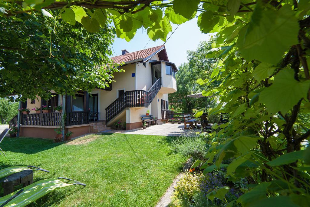 Apartmant & Room Bruna Drežnik Grad Buitenkant foto