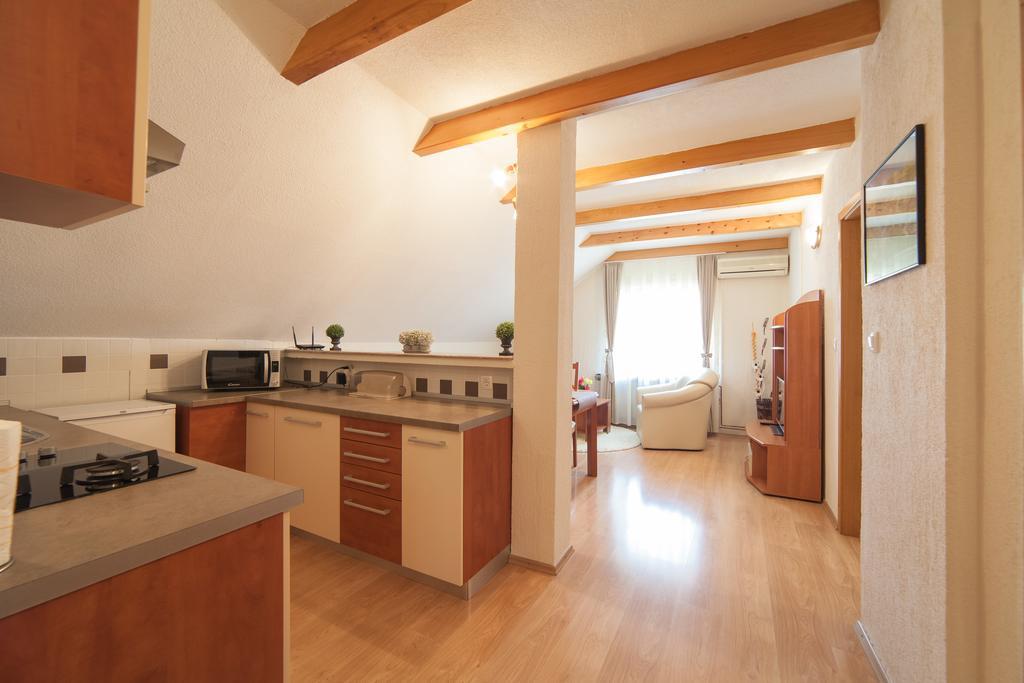 Apartmant & Room Bruna Drežnik Grad Buitenkant foto