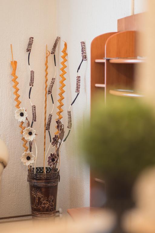 Apartmant & Room Bruna Drežnik Grad Buitenkant foto