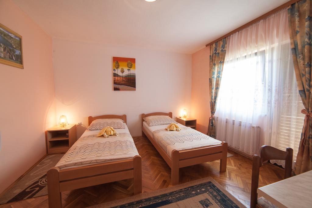 Apartmant & Room Bruna Drežnik Grad Buitenkant foto